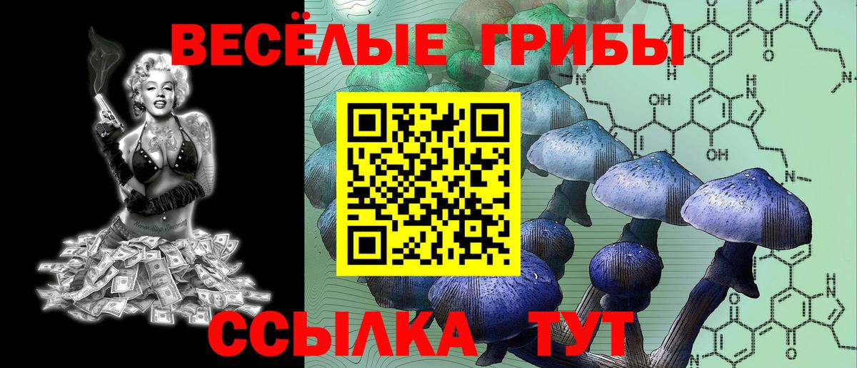 где можно купить   Вход с VPN  Грязи  Галлюциногенные грибы мухоморы 